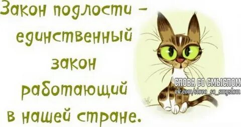 Господа это подло наконец