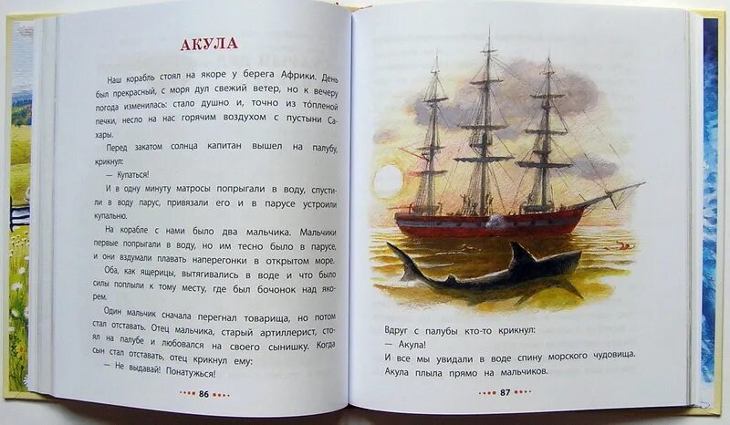 Л н толстой акула читать полностью. Стихотворение акула л.н.толстого. толстой л. &quot;детям. рассказы&quot;.
