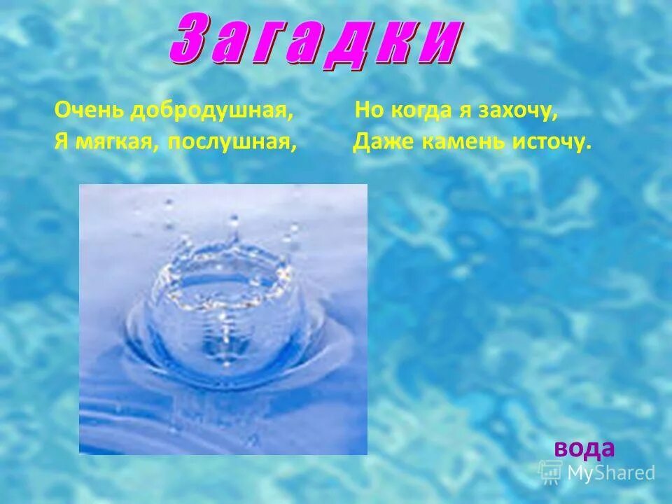 Чего в воде не бывает. Чего в воде не бывает