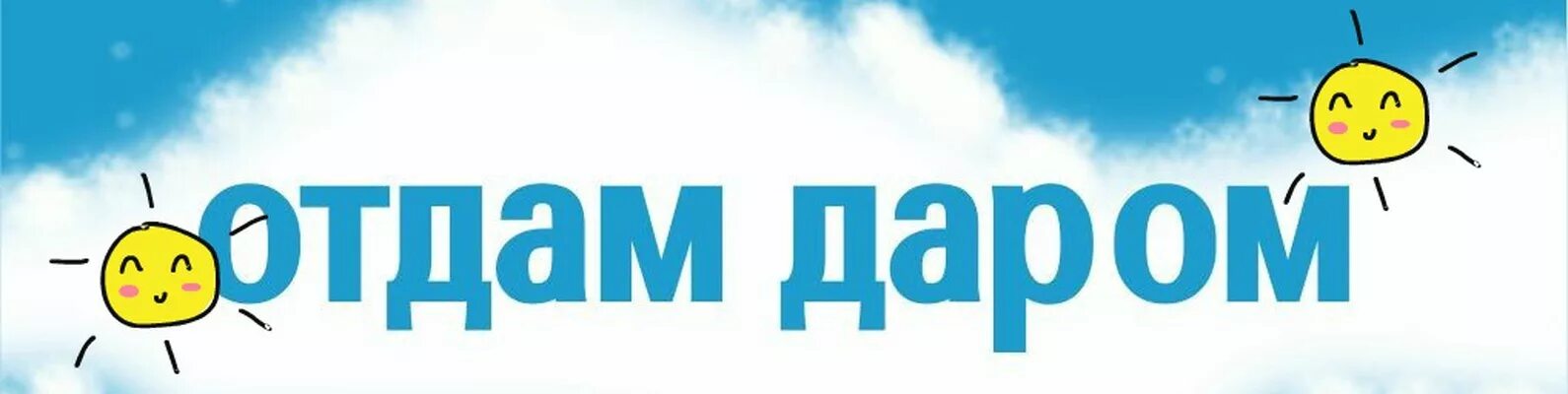 Отдам даром песня. Группа отдам даром. Отдам даром картинки. Группа отдам даром. Отдам даром обложка.