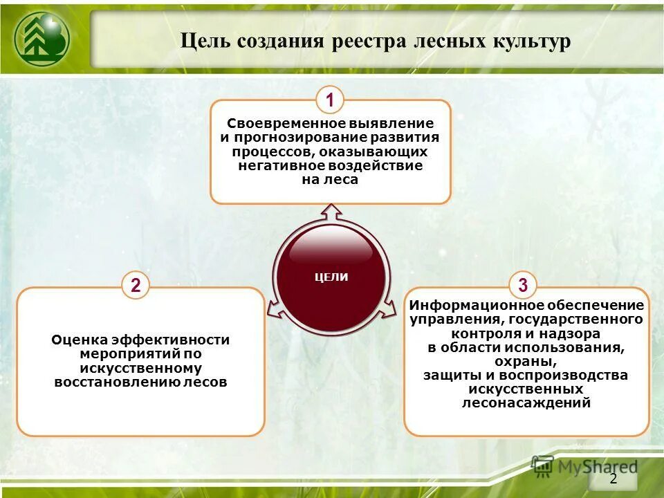 структура управления лесным хозяйством. приказы лесного хозяйства уфа. положение о министерстве лесного хозяйства. положение о министерстве лесного хозяйства. лесничество документы.