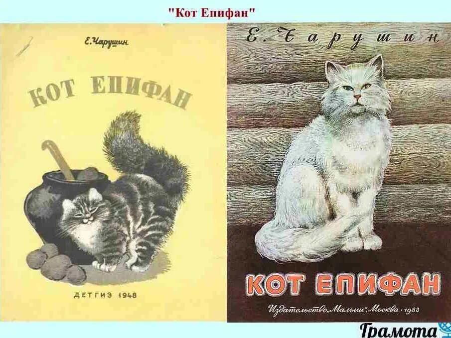 Чарушин кошка иллюстрации. Чарушин пунька. Чарушин тюпа томка и сорока. Чарушин тюпа и томка. Васька, бобка и крольчиха.