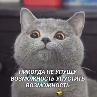 Придавал самую