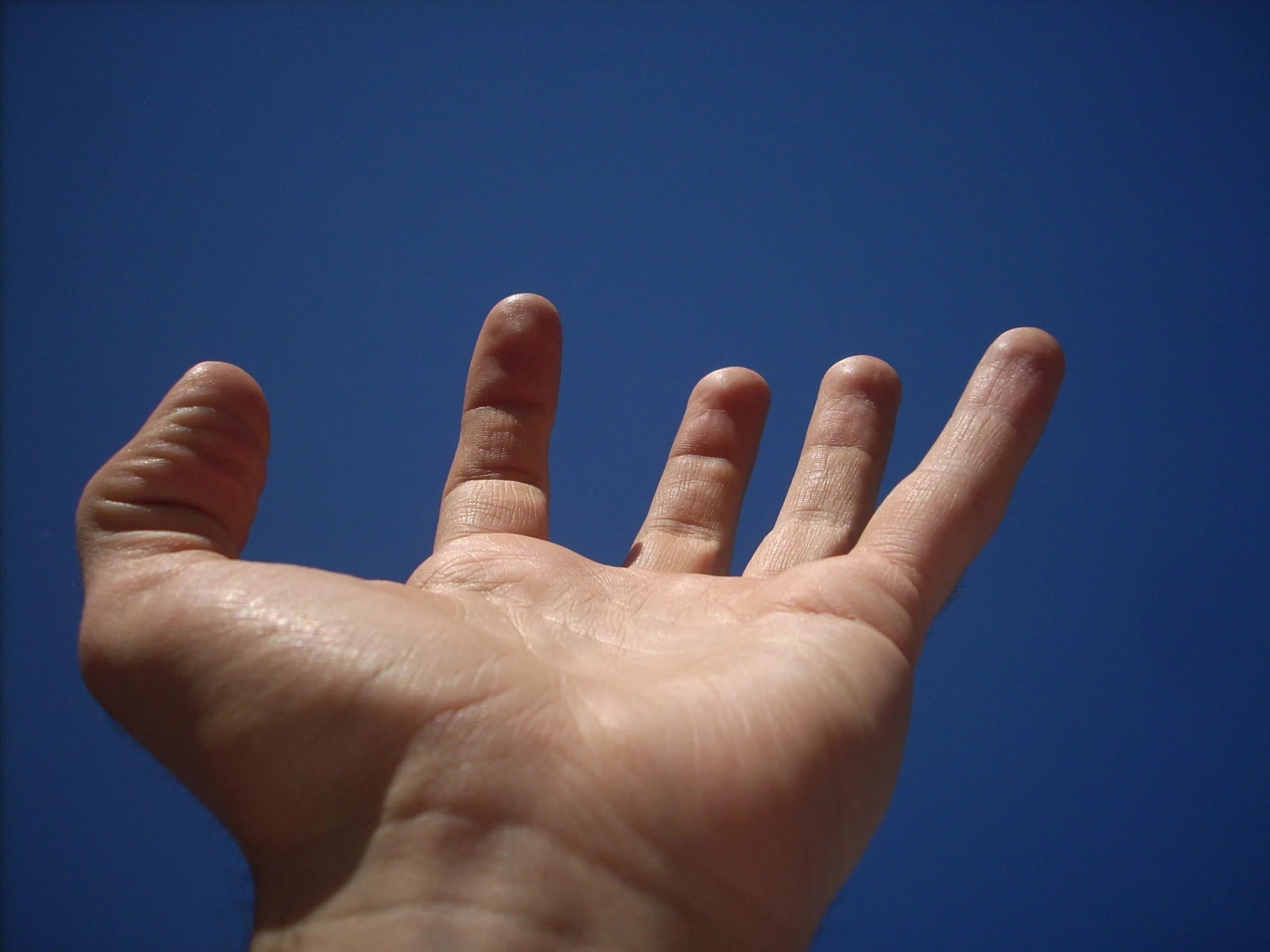 21 fingers