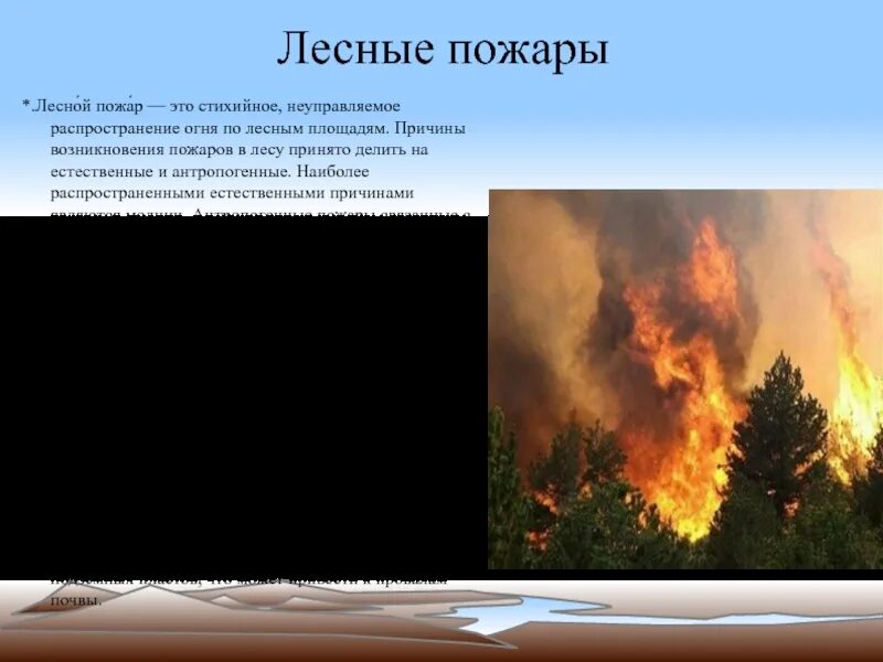 Пожар в лесу какой фактор. Причины лесных пожаров. Естественные причины пожара в лесу. Причины возникновения лесных пожаров. Антропогенные причины пожаров в лесу.