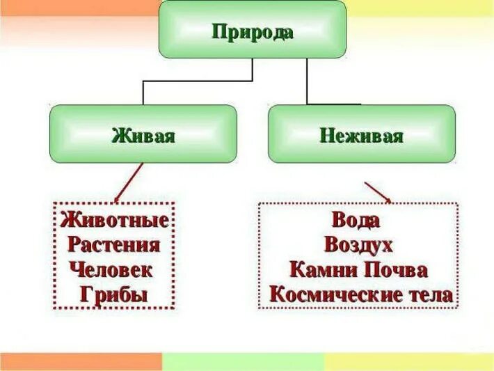 2 неживая природа это. Взаимосвязь живой и неживой природы. Взаимосвязь живой и неживой природы 2 класс. Предметы неживой природы. Живая неживая растения … Животные … … ….