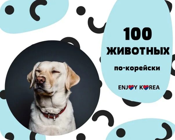 Включи 100 животных