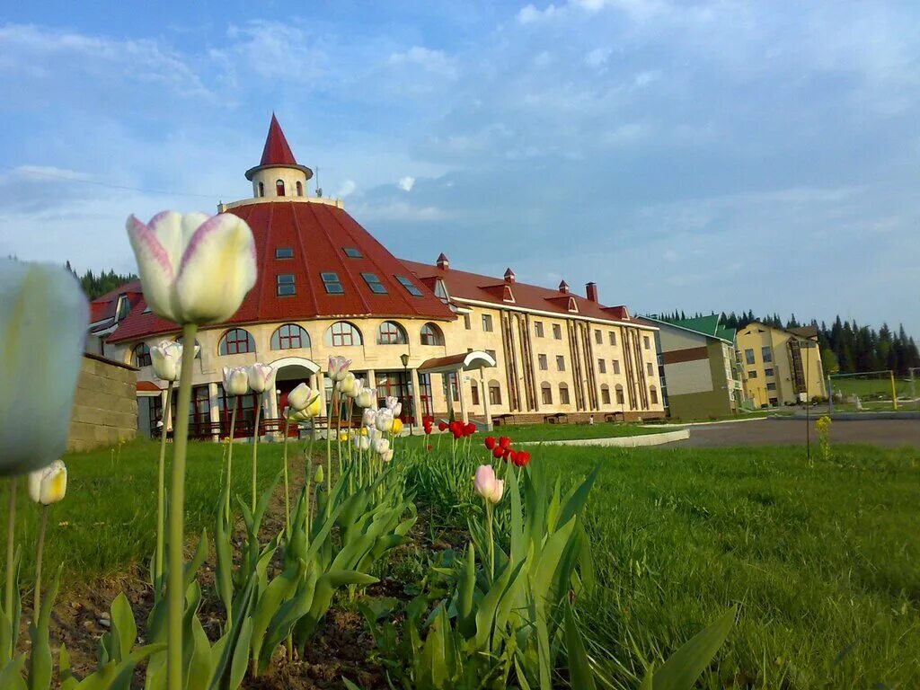 Санаторий ассы фото. Башкирия санаторий ассы зимой. Территория санатория ассы. Асса санаторий в башкирии. Ассы директор.