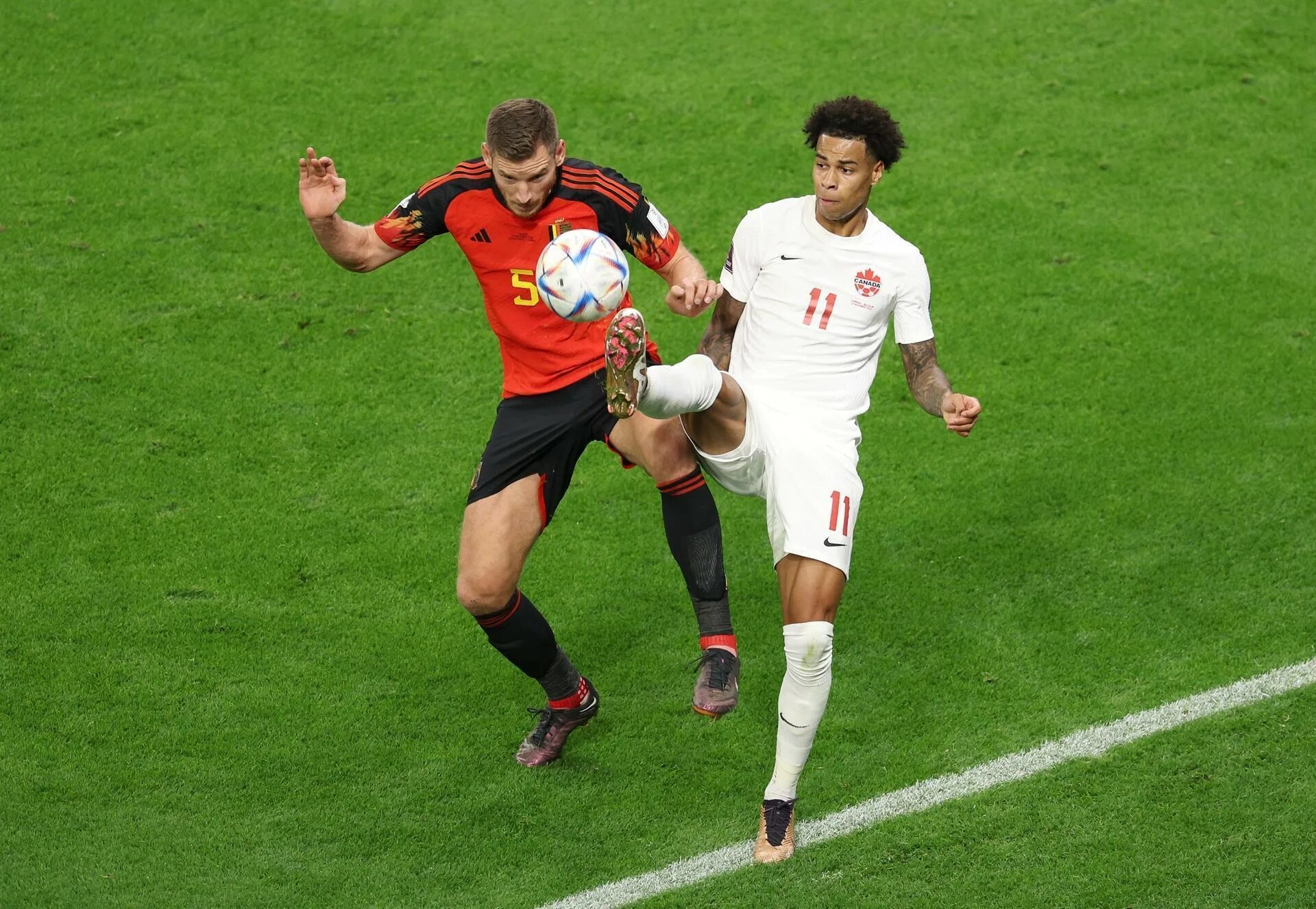 Канада 23. Бельгия канада. Хорватия бельгия. Канада 23. Канада 23.