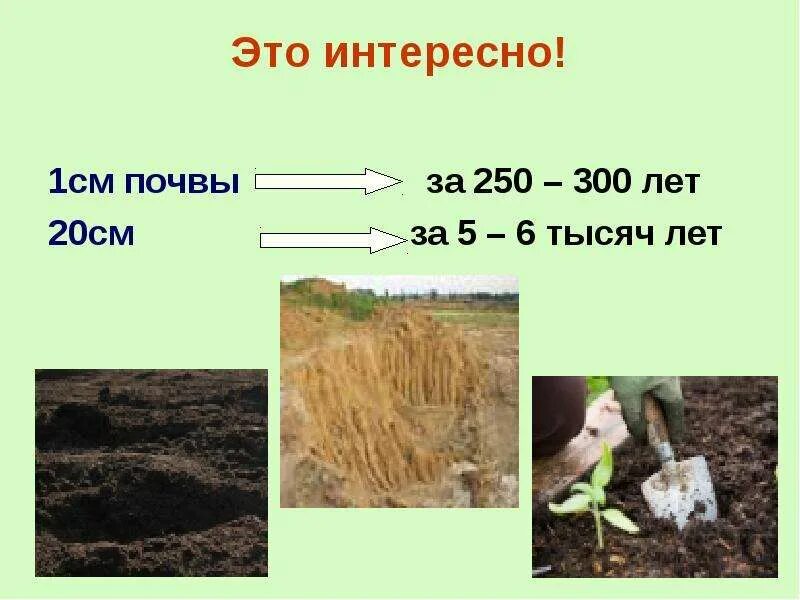 Какой максимальной толщины может достигать почва. Почва презентация. почва слайд. формирование почвы. презентация по теме почва.