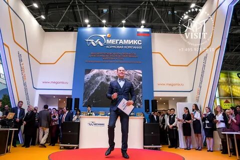 Презентация выставки