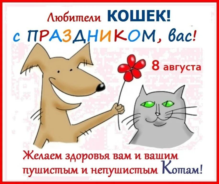 День котиков в россии. Всемирный день кошек. Поздравление с международным днем кошек. Всемирный день кошек 8 августа. Международный день когнк.