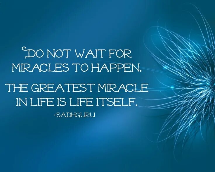 Believe in miracles. Life is a miracle. Эмир кустурица и the no smoking orchestra. Miracles happen. Life is miracle.