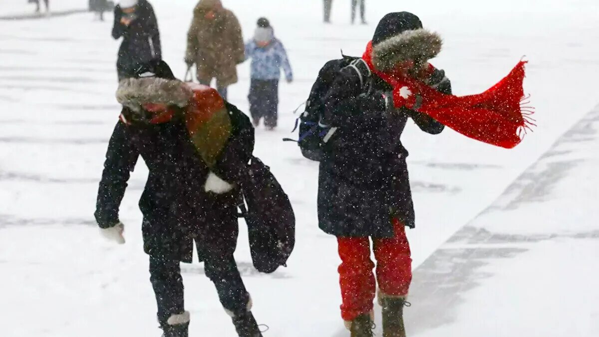 Метель гололед. Скользко зимой. Гололед мороз. Гололед. Зима дорога.