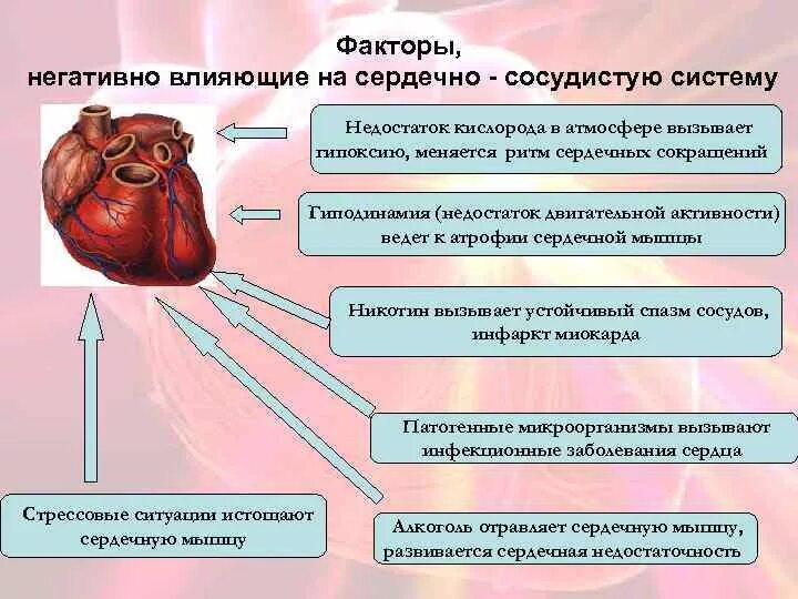 Могут негативно повлиять на. Факторы влияющие на сердечно сосудистую систему. Влияние на сердечно-сосудистую систему. Факторы негативно влияющие на сердце. Факторы положительно влияющие на сердечно сосудистую систему.