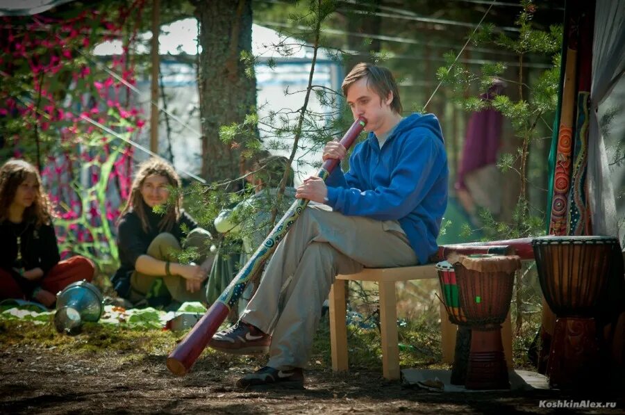 Систо фестиваль 2022. Р систо. Систо палкино фестиваль. Систо палкино фестиваль. Систо фестиваль 2023.