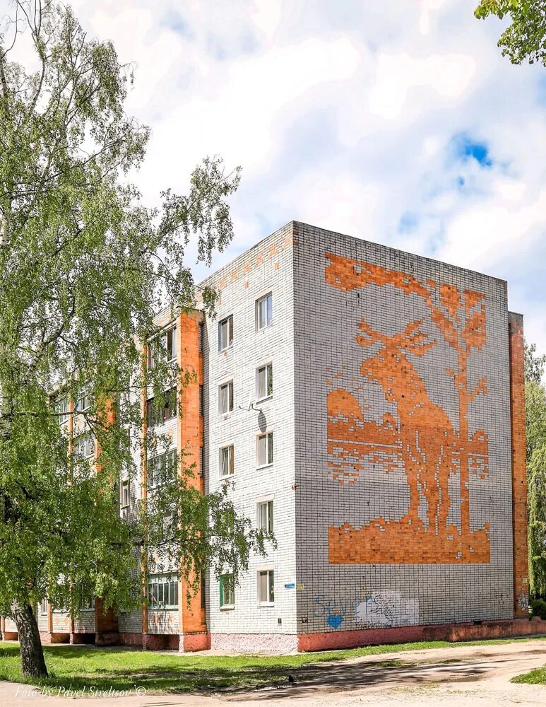 Дом жуковка брянской обл. Жуковка многоэтажные дома. город жуковка брянская область. приют жуковка брянская область.