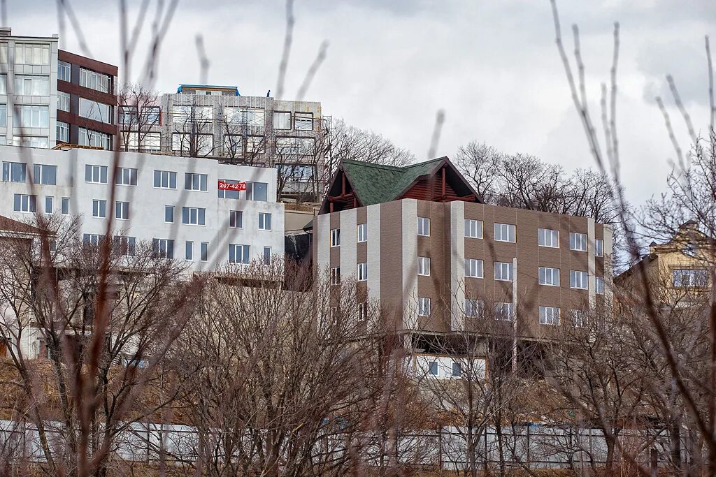 Уссурийская тайга. Лесная поляна владивосток горнолыжка. Владивосток лесной. Лесной квартал 2 владивосток. Лесная поляна владивосток горки.