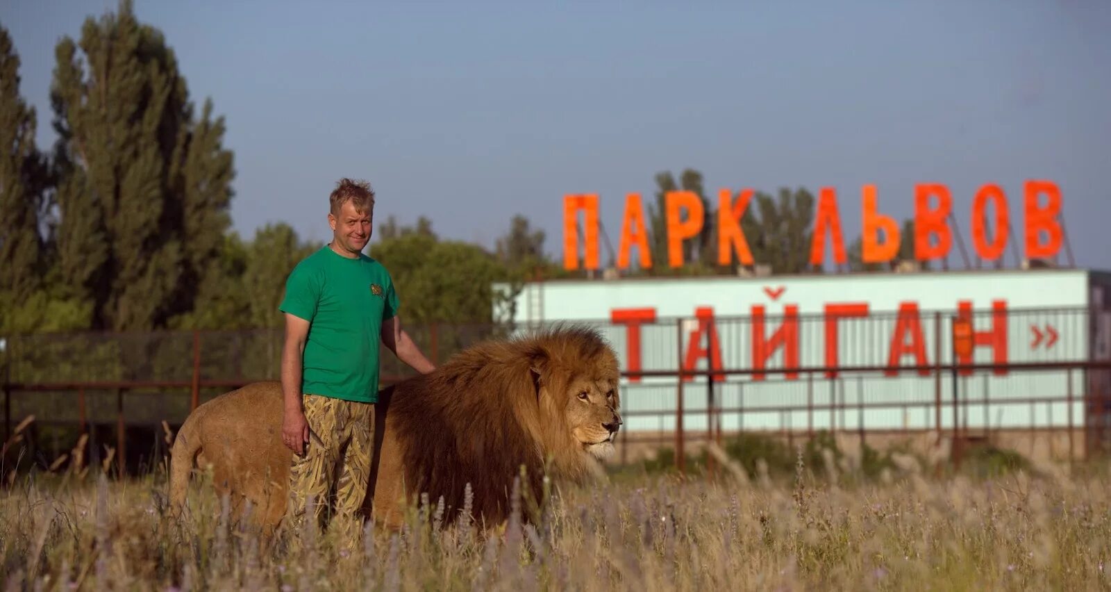 Сафари парк Львов Тайган в Крыму. Белогорск Крым парк Львов Тайган. Крым львы сафари парк Тайган.