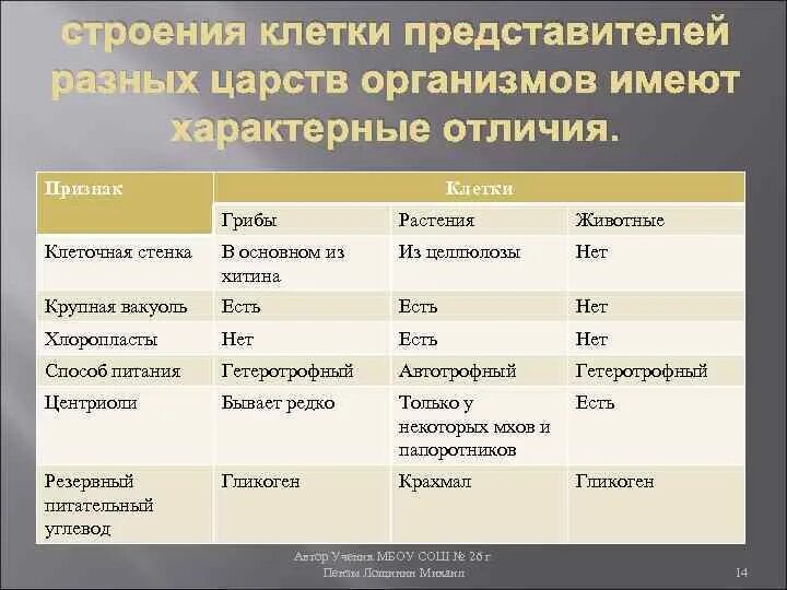 Типы питания клетки таблица Таблица классификация организмов по способу питания 59 фото