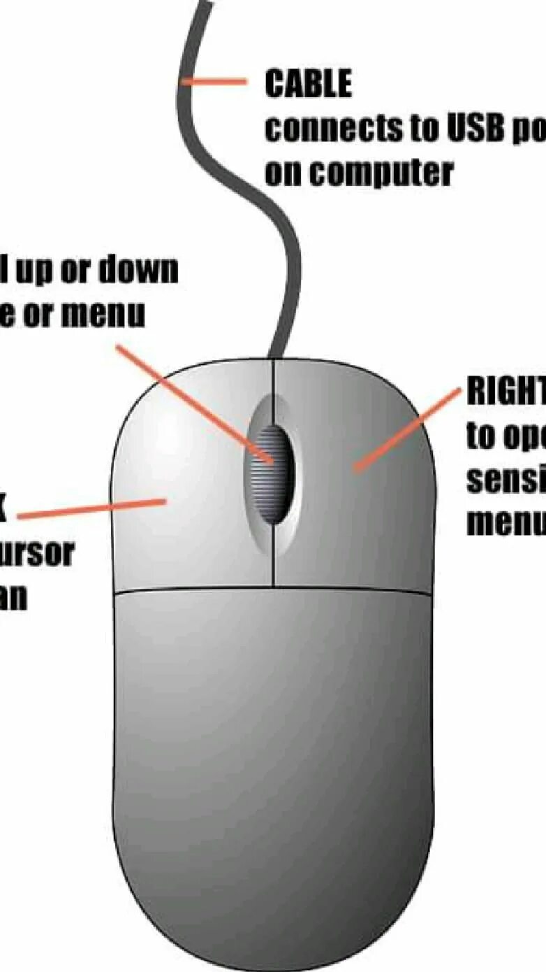 Object of right