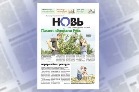Газета северная новь