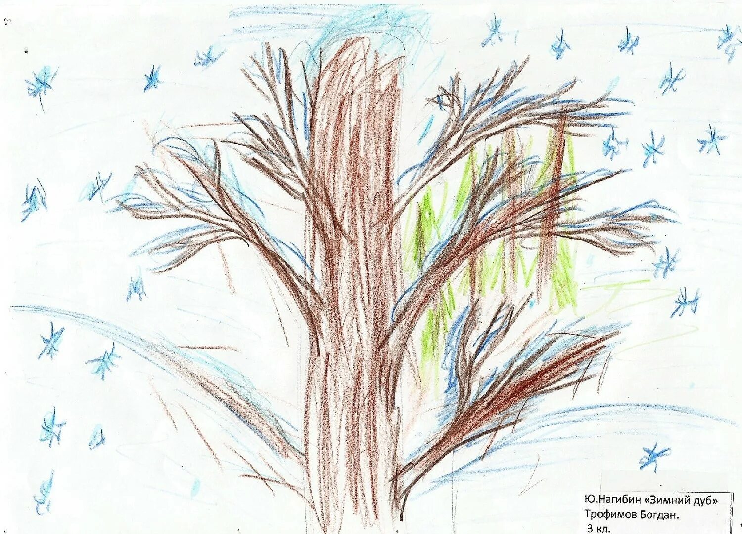 ю нагибин зимний дуб