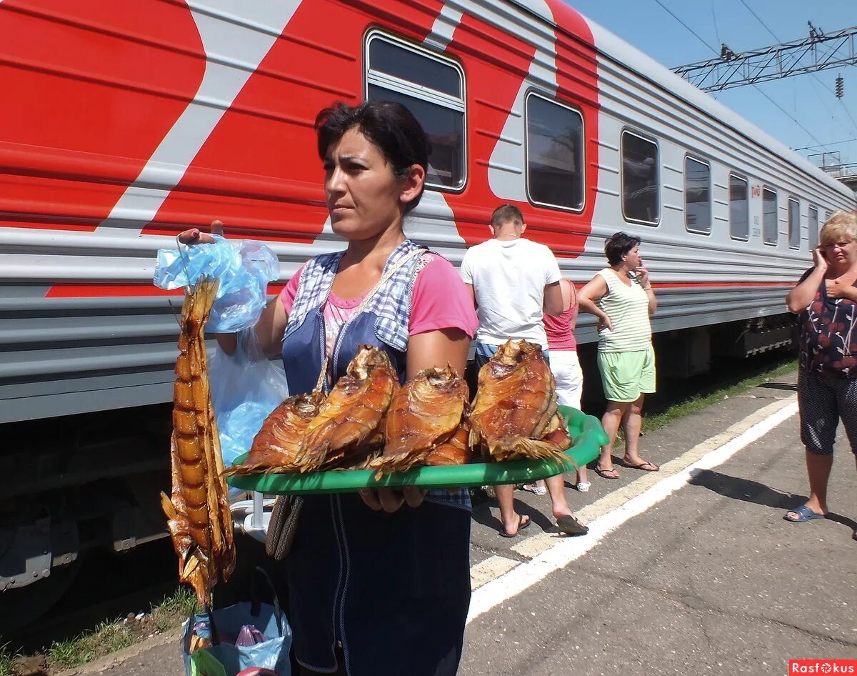 станции котельниково волгоград