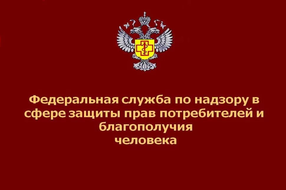 Служба прав потребителей телефон. Федеральная служба по защите прав потребителей. Федеральная служба по надзору в сфере защиты прав. Защита прав потребителей и благополучия человека. Роспотребнадзор Федеральная служба.