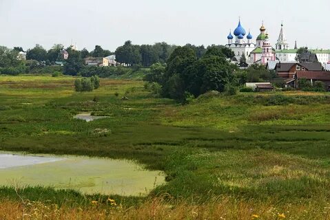 Прогноз суздаль