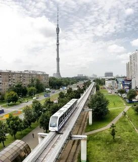 Свао академика