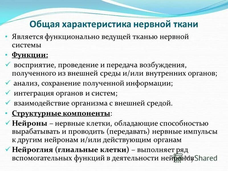 Матричная организационная структура. Диаграмма функциональных зависимостей бд. Понятие моторной единицы мышцы. Общие свойства нервной системы. Самым функциональным является.