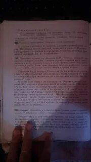 Листья сыплются за школой слышен громкий спор