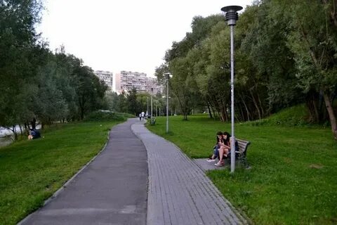 Южная битца парковая