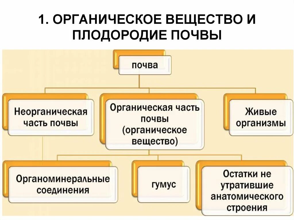 Назовите органические вещества почвы. Органическое вещество почвы. Источники органического вещества в почве. Органическое вещество почвы презентация. Схема состава органического вещества почвы.