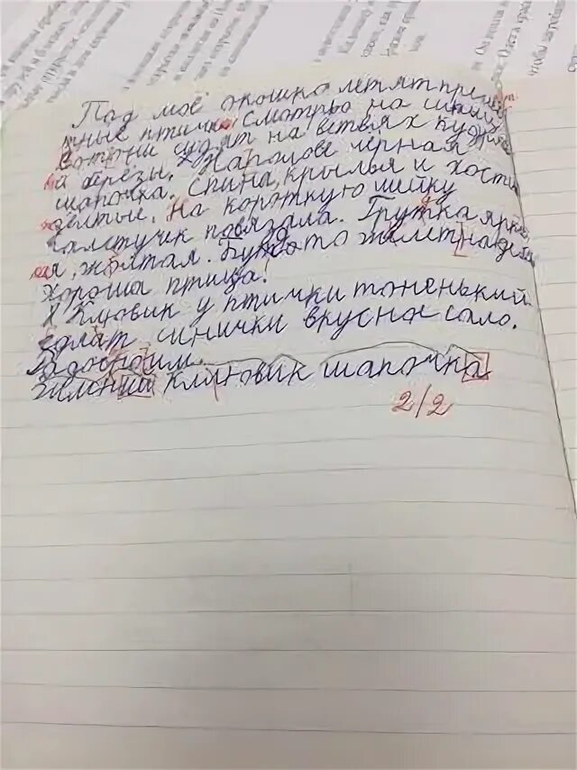 Как пишут диктант в 1. Как научить ребенка писать диктант. как научить ребёнка писать диктанты без ошибок. как научить ребёнка писать диктанты в 1 классе. как писать диктант без ошибок.