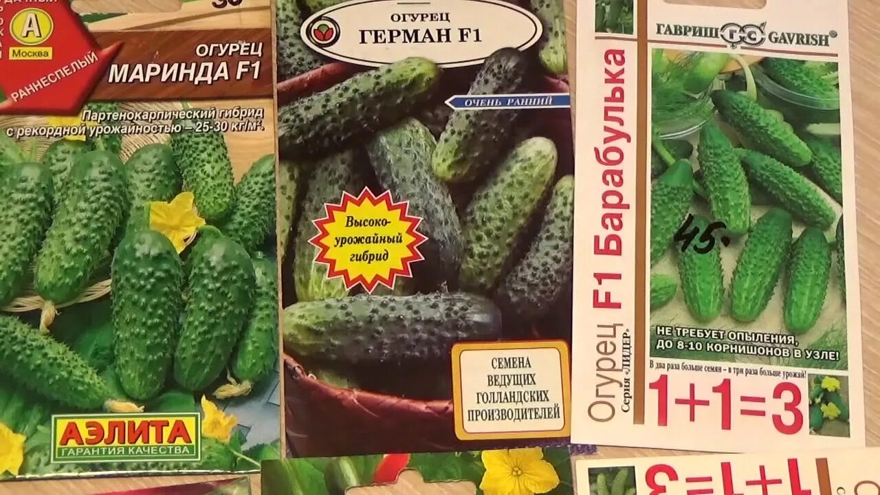 Огурцы название сортов для открытого грунта