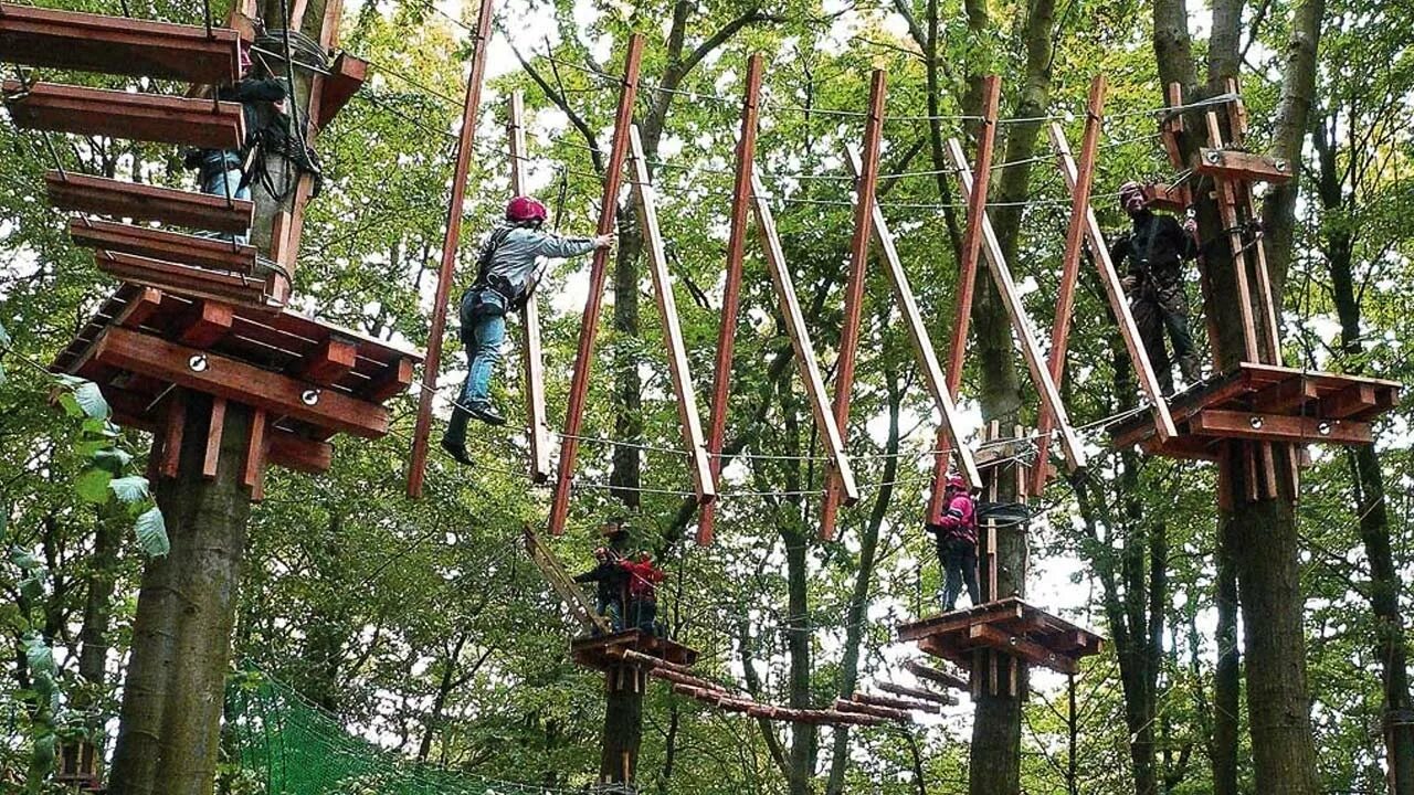 Веревочный парк Чебоксары Лакреевский. Березинский заповедник веревочный городок. Веревочный парк Олимпийская аллея. Веревочный парк Байкальск. Лес развлечений