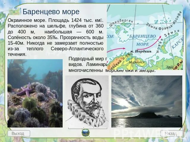 Площадь баренцева моря. Реки впадающие в баренцево море. Площадь баренцева моря. Баренцево море на карте северного ледовитого океана. Северный бассейн баренцева моря.