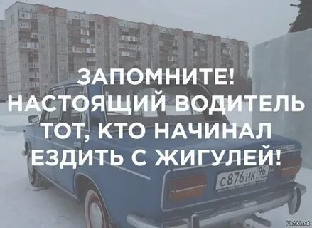 Стой водитель