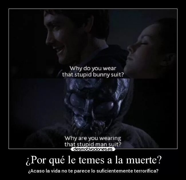 Why do you wearing. Why are you wearing that stupid man Suit. Донни Дарко Мем. Киношные кролики Донни Дарко. Donnie Darko man Suit.