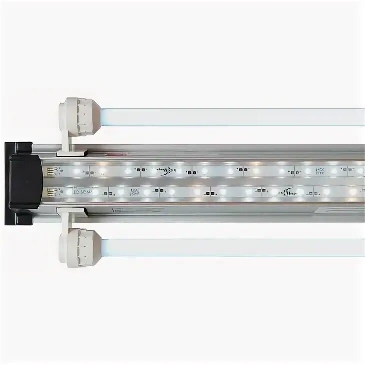 Maxi light. Maxi light