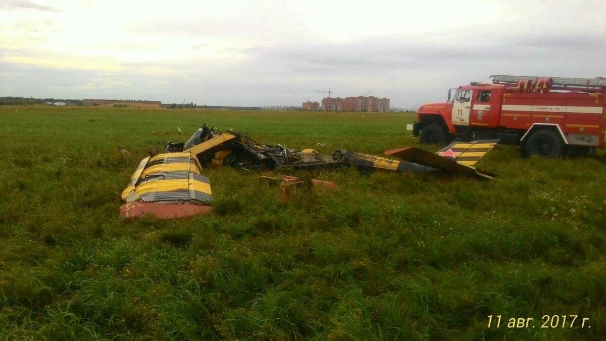 Гамза константин евгеньевич. Упавшее дерево. Александр петров и руслан боширов. Дебошир в самолете. Андрей голомидов.