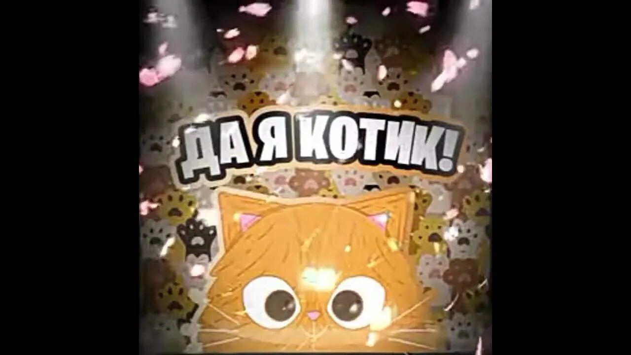 Кот на стиле simbachka. Кот симба младший из тик тока. Выпусти меня погулять. Выпусти меня погулять simbachka. Симба кот.