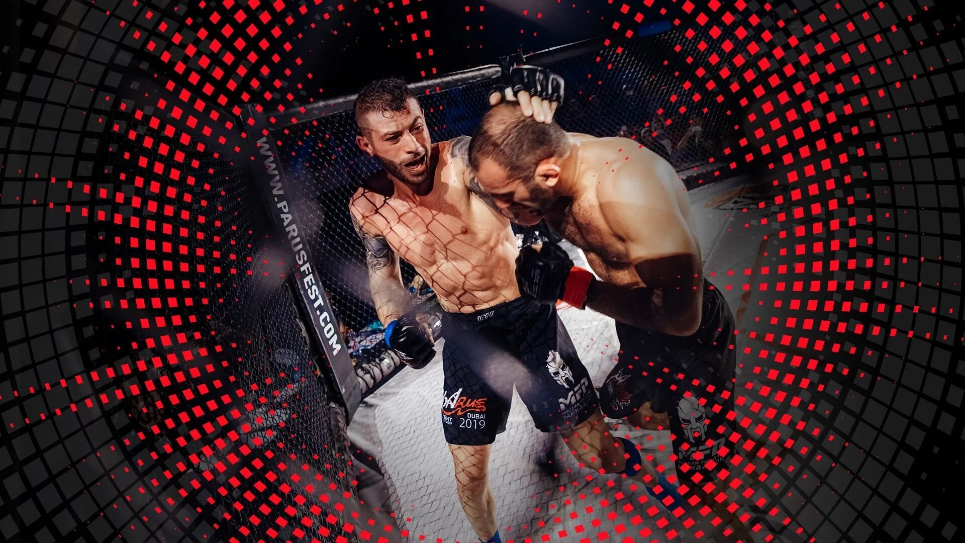 Хардкор последнее. Хардкор файтинг чемпионшип мма. хардкор файтинг мма пояс. hardcore fighting championship октагон.