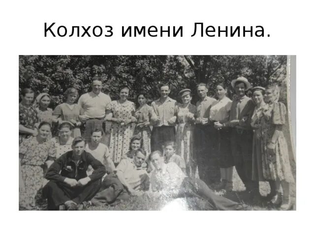 Грудинин совхоз имени ленина. Колхоз ленина номера телефонов. Колхоз грудинина имени ленина. Колхоз ленина номера телефонов. Колхоз имени ленина.