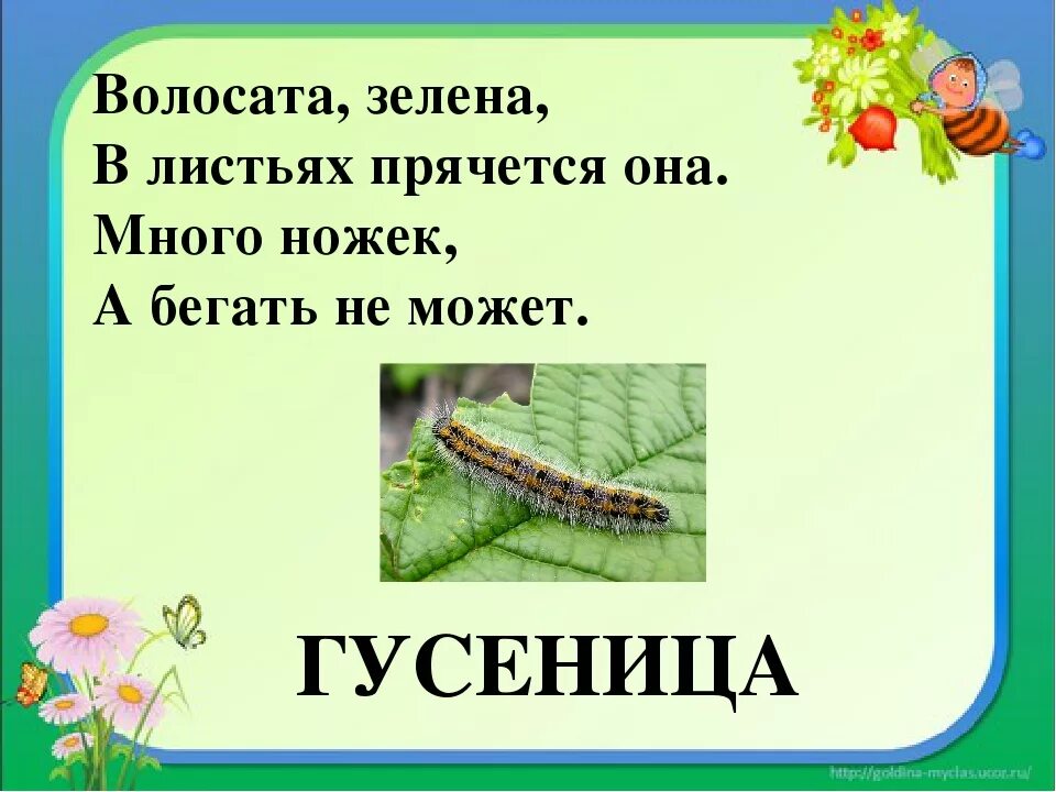 1 гусеница 2 проживший 3 предприняв