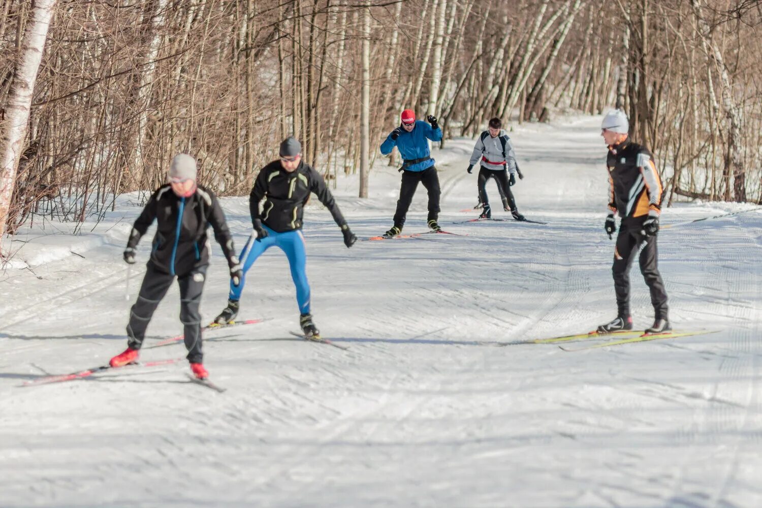 лыжные соревнования. тренер по лыжным гонкам. инструктор по беговым лыжам. инструктор по беговым лыжам. с инструктором на беговых лыжах.