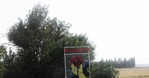 Ждановка александровский