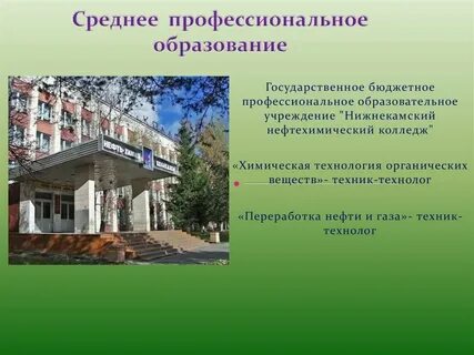 Бюджетное образовательное учреждение колледж